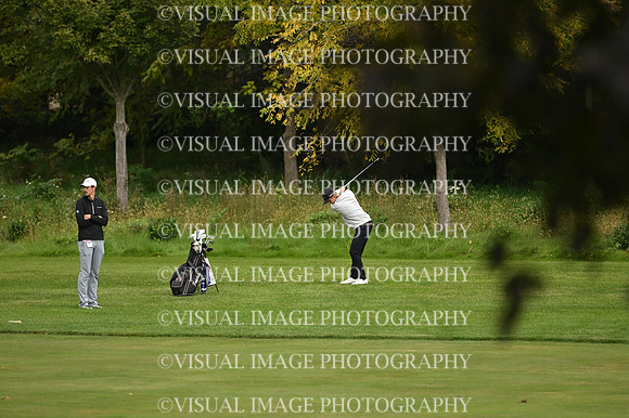 ILGF_26_T106010