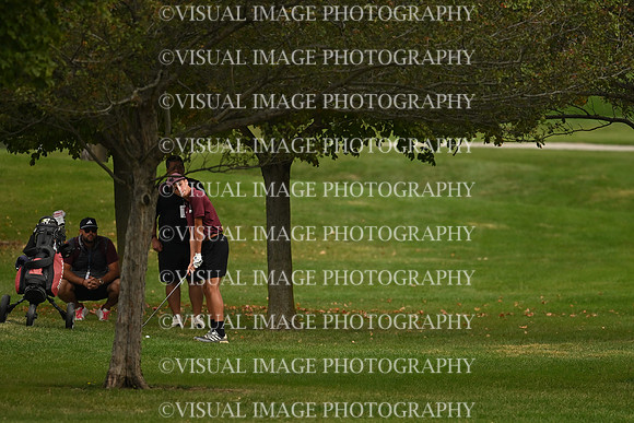 ILGF_26_IND10004