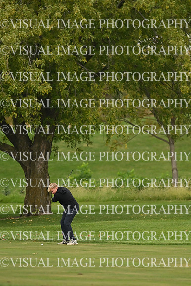 ILGF_26_T108011