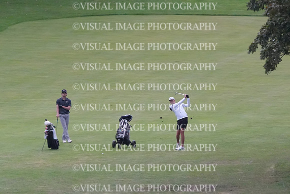 ILGF_26_T207005
