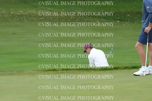 ILGF_26_T212008