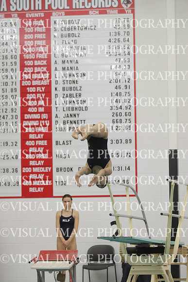 WISWG22_DIVE_2017