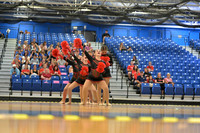 BMC26_OPENPOM_04019