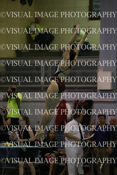 ILSWG15_DIVE_F003