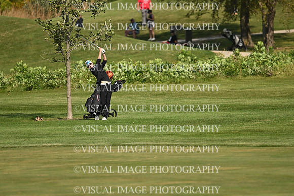 ILGF_26_T102010