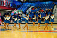 BMC26_OPENPOM_17008