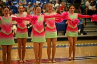 BMC26_OPENPOM_06005