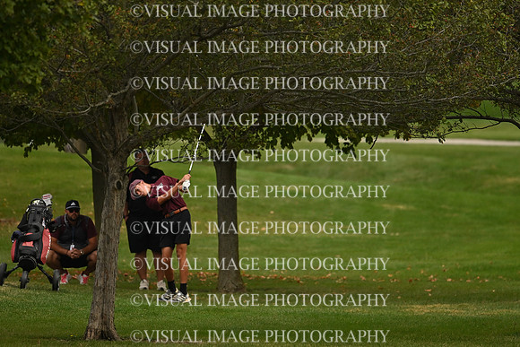 ILGF_26_IND10007