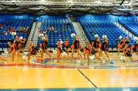 BMC26_OPENPOM_18005