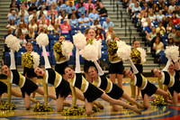 BMC26_OPENPOM_03017