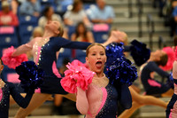 BMC26_OPENPOM_13020