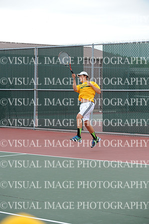 ILTN_13_S2013