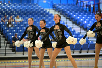 BMC26_OPENPOM_08017