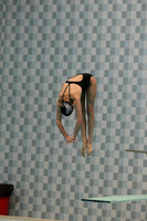 WISWG_15_D1020