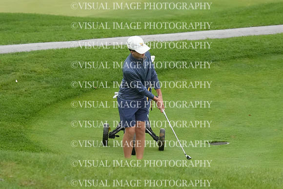 ILGF_26_T204024