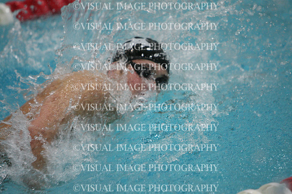 wisw10_1free_2013