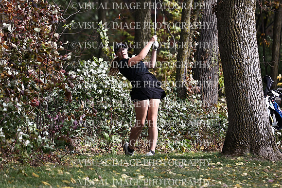WIGFG_22_T17005