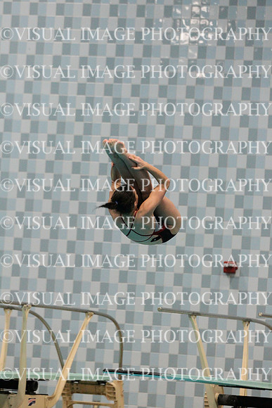 WISWG_15_D1027