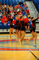 BMC26_OPENPOM_04014