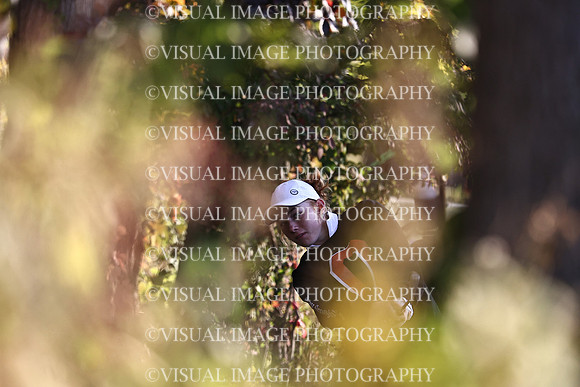WIGFG_22_IND012