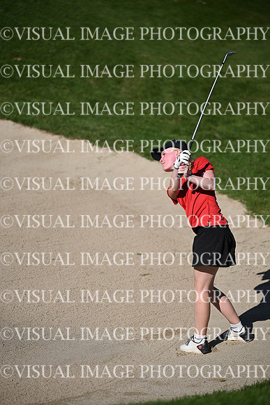 WIGFG_26_T104011