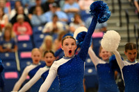 BMC26_OPENPOM_16018