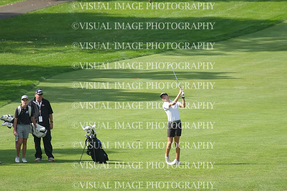 ILGF_26_IND20007