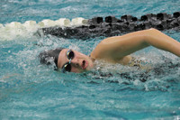 WISWG_22_20007