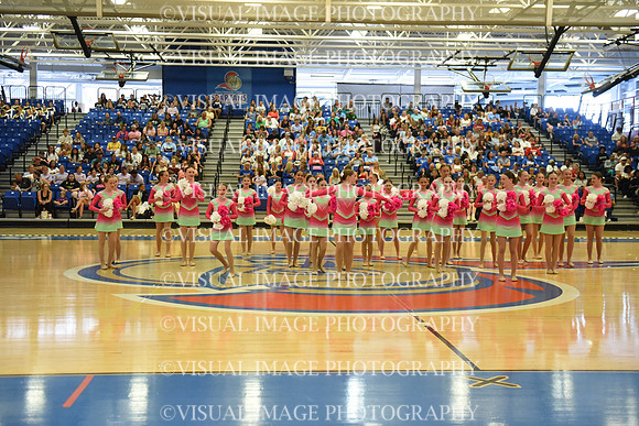 BMC26_OPENPOM_06001
