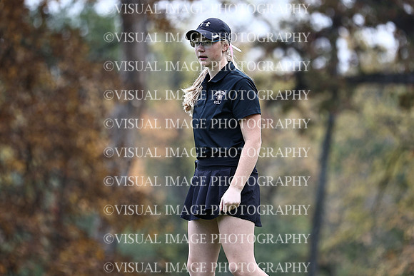 WIGFG_22_T17033