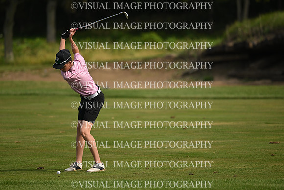 ILGF_26_T112017