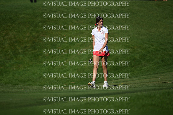WIGFG_26_T106018