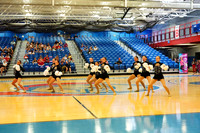 BMC26_OPENPOM_08011