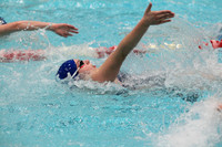 WISWG_15_S1017