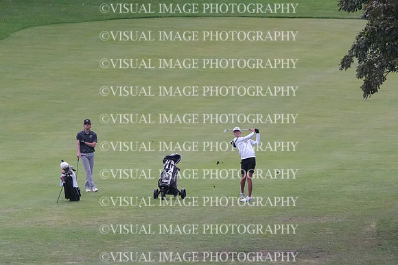 ILGF_26_T207007