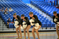 BMC26_OPENPOM_08019