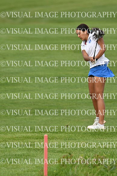ILGFG_26_T112008