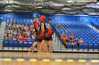 BMC26_OPENPOM_04017