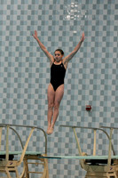 WISWG_15_D1010
