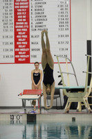 WISWG22_DIVE_2020