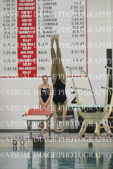 WISWG22_DIVE_2020