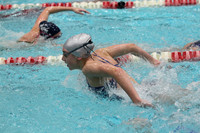 WISWG_15_S1020