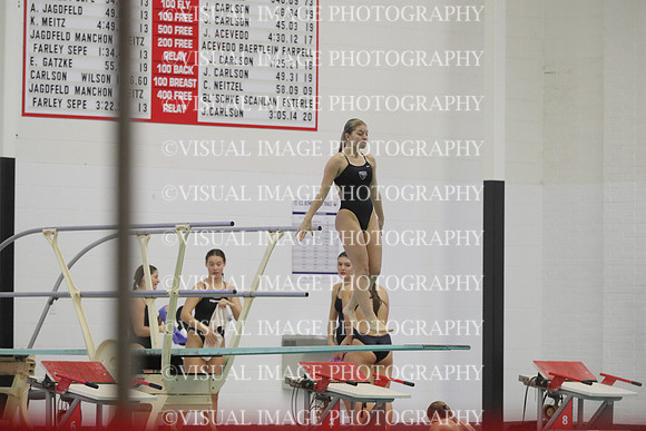 WISWG22_DIVE_2001