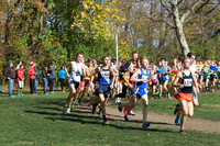 ILXC_15_20008