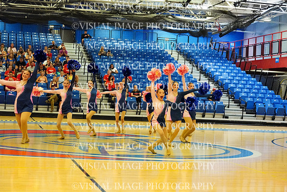 BMC26_OPENPOM_01007