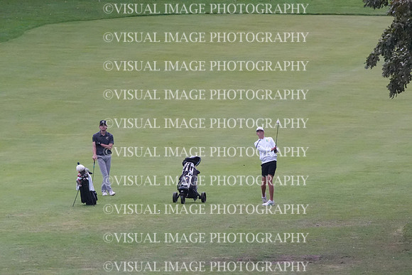 ILGF_26_T207014