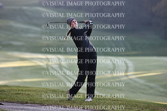 WIGFG_22_IND031