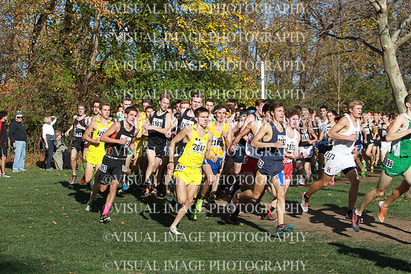 ILXC_15_30031