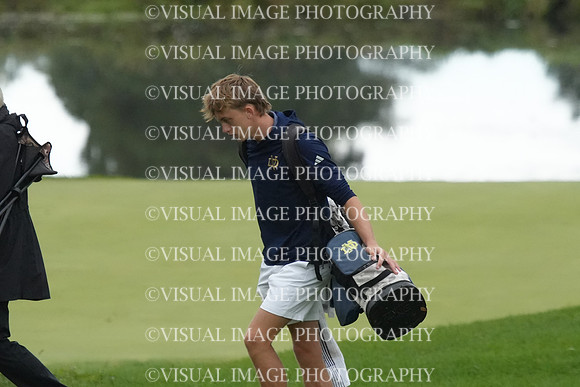 ILGF_26_T208018