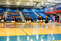 BMC26_OPENPOM_08006